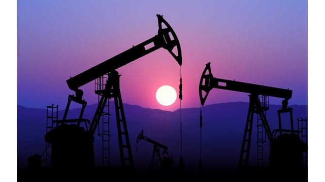 Leif Wenar on Blood Oil